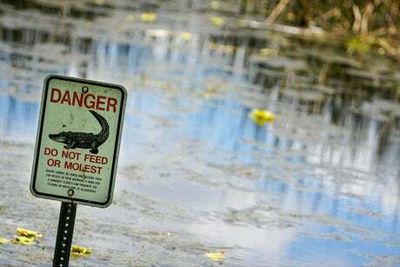 Man dies in alligator-infested lake in Florida while looking for Frisbees
