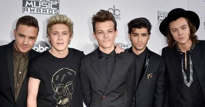 Liam Payne says he dislikes Zayn Malik for 'many reasons' after One Direction split