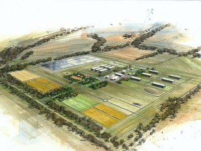 Labor urged to scrap nuclear dump
