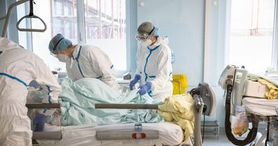 Almost one in three Irish people believe Government exaggerated Covid-19 deaths