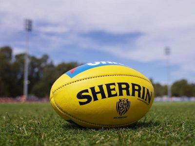 New Tas stadium $750m price tag queried