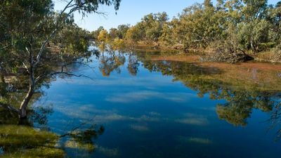 Private water donations may help restore Australian wetlands – and prove collaboration possible