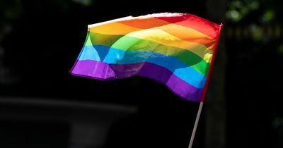 What is Pride Month and why is it celebrated? History of Pride explained