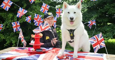 Rescue dogs kickstart Jubilee weekend with a party fit for royalty
