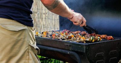 Nearly half of meat eaters worry about a vegetarian turning up at their BBQ, study finds