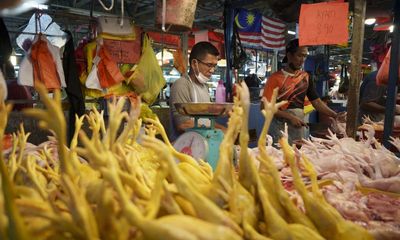 ‘Like McDonald’s with no burgers’: Singapore faces chicken shortage as Malaysia bans export