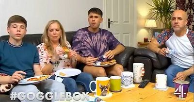 TikTok Gogglebox family quit Channel 4 show as co-stars send support