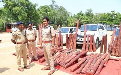 Andhra Pradesh: ₹3 crore worth red sanders seized in Chittoor; two from T.N. held