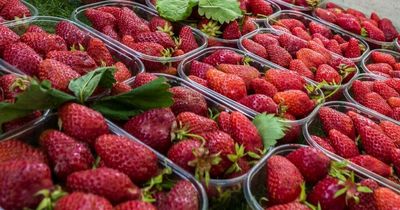 Hepatitis outbreak in US linked to infected strawberries as experts issue warning