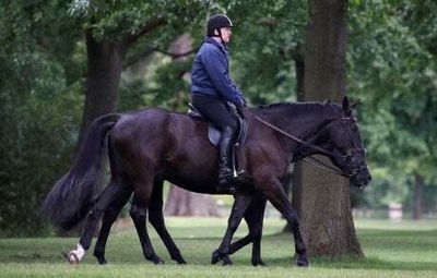 Smiling Prince Andrew rides horse on royal estate a day before Jubilee celebrations