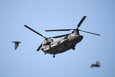 Germany picks Boeing's Chinook helicopters to replace Sikorsky fleet
