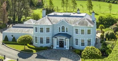 Inside the glamorous light-filled Louth property on the market for an eye-watering price of €1.9m