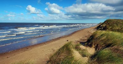 Mysterious sea creature washed up on Mersey beach that looks like a penguin