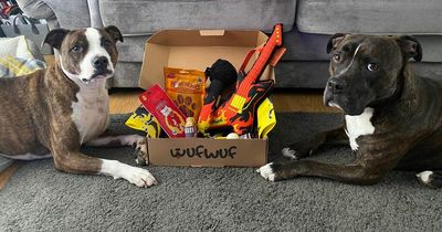 WufWuf subscription box turned my dogs into rockstars for a day