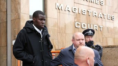 West Ham defender Kurt Zouma ordered to do 180 hours of community service and banned from keeping cats for five years