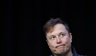 Elon Musk Loses His Cool