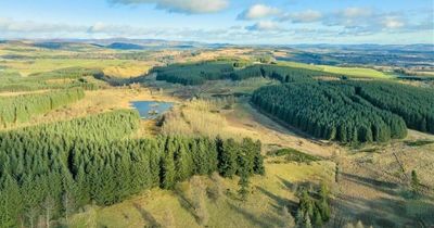 Forest, farmland and man-made loch in rural Perthshire put on market for £1.7 million