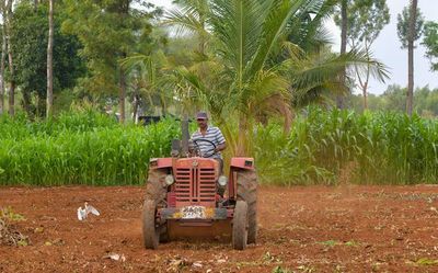 Market imperfection magnifies impact of cost escalation on Agri, allied sectors