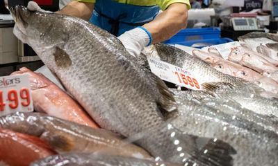 Seven new species on the menu for Queensland fans of sustainable seafood, new guide says