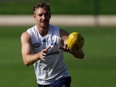 Blues hand AFL lifeline to ex-Roo Durdin