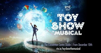 Ireland's top casting director searching for her next big star for Toy Show The Musical