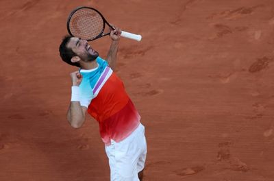 Cilic hits 33 aces to reach first French Open semi-final