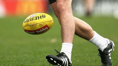 Tasmanian AFL task force to make impassioned plea to club presidents ahead of league entry deadline