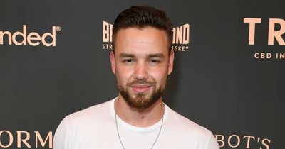 Liam Payne says £50m fortune will go to son Bear - who will inherit 'several companies'