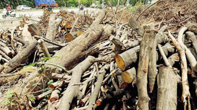 Bengaluru metro passengers complain against parking contractors