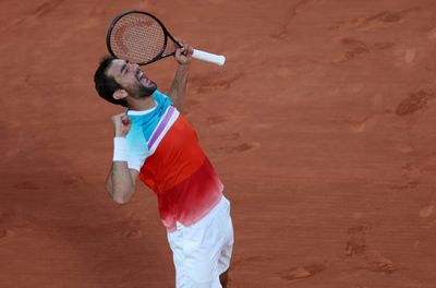 Cilic, Ruud reach French Open semi-finals for first time