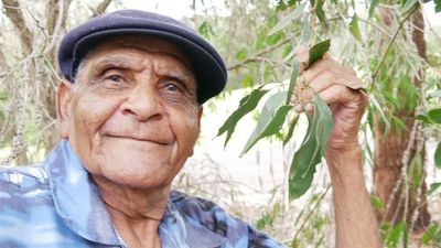 Uncle Herb Patten reflects on lifetime of gumleaf playing