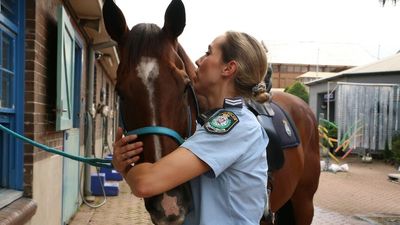NSW policewomen outnumber men in mounted unit after slow start