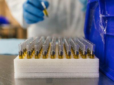 Cannabis and Trauma: Two Experts Weigh In