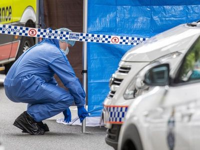 Qld premier open to forensics examination