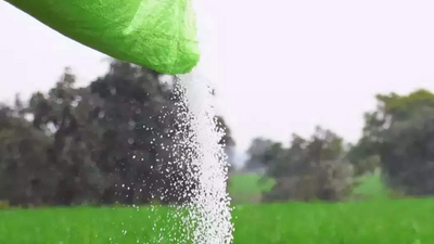 Karnataka: Farmers protest inadequate supply of fertilisers