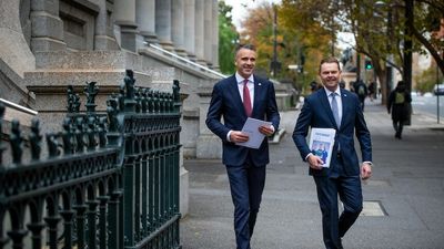 SA state budget spends big on health, while Treasurer warns 'budget repair' is needed