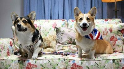 Cuddles with Corgis to Celebrate the Queen's Favorite Dogs