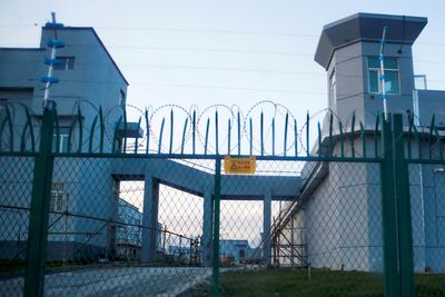 Countries to request ILO China mission to probe alleged Xinjiang labour abuses: sources