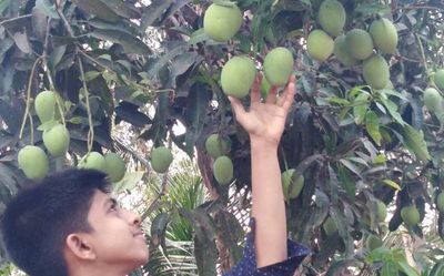 The sweet taste of brand Kuttiattoor