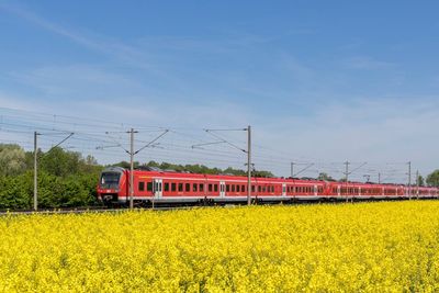 The best rail deal in history? You can now travel around Germany by train for a month – for just €9