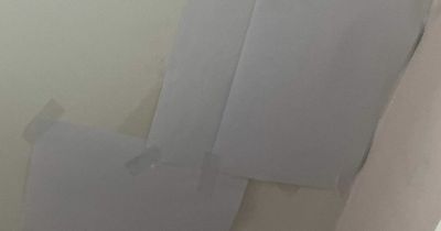 Mothers living in Dublin flats fear mould is causing children's breathing difficulties