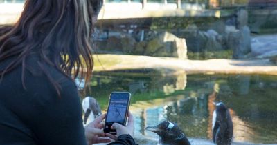 Edinburgh Zoo to host After Hours evenings for adults with live music, food and drink