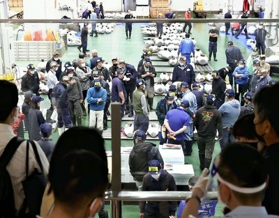 Toyosu tuna auction reopens to public