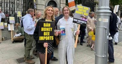 Beekeepers gather at Leinster House in support of 'urgent' bill to protect native Irish honey bee