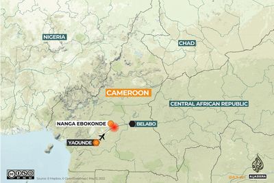 Plane carrying 11 passengers crashes in central Cameroon