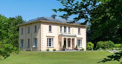 Old Irish country house built during famine with rich history and antique decor hits market for €1.6m