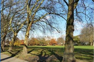 Man dies after being found on fire in East Ham park