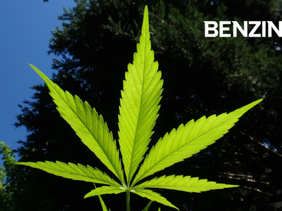 Mike Tyson's Cannabis Brand Tyson 2.0 Reaches Washington State Via Mammoth Labs Partnership