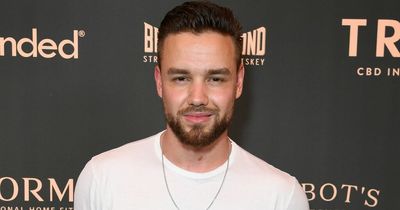 Liam Payne hits back after saying he 'dislikes' former One Direction bandmate Zayn Malik in candid interview