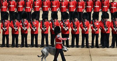 BBC Queen's Jubilee coverage sparks outrage after guest describes Irish Guards as 'the Micks'